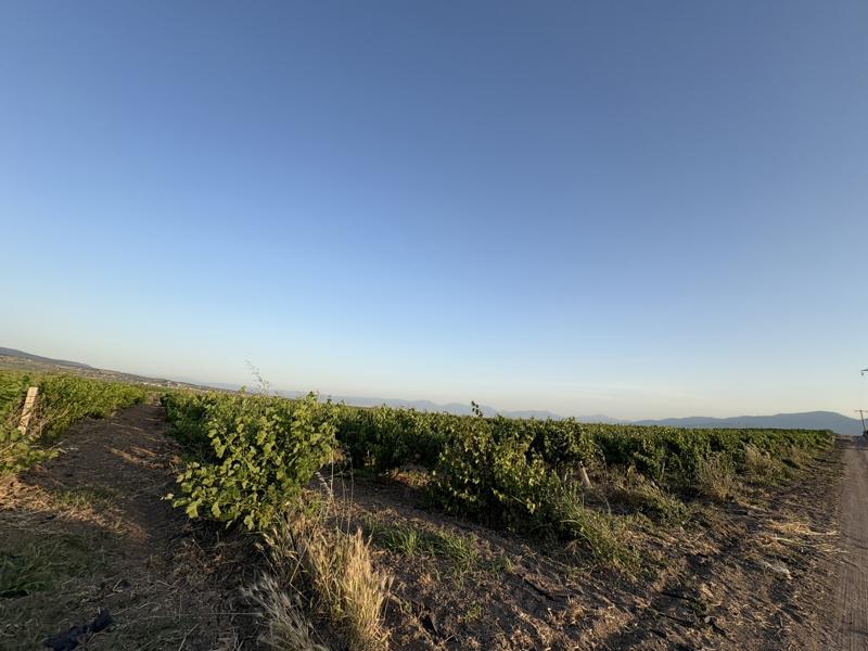 MANİSA SARUHANLI'DA 26.895 M2 SATILIK TARLA (101196446)